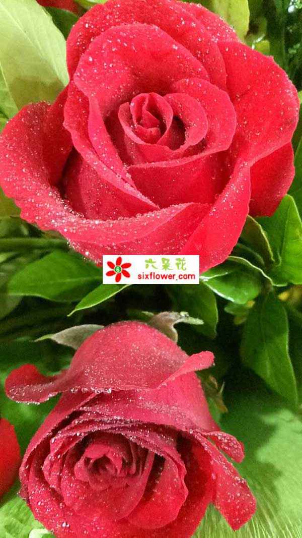 后来订花人电话与收货人确认,确定鲜花收到,订花人不停向我们表示感谢