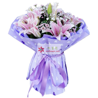 南国花乡 六朵花 南国花乡 六朵花