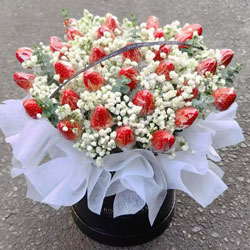 33�Ų�ݮͰװ��У��ҵ����Ĺ�;