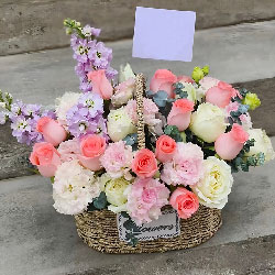 21õỨů