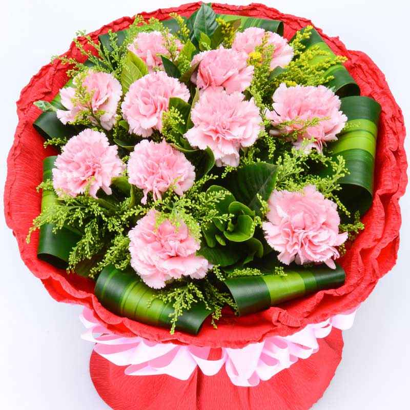 母亲节送什么颜色的康乃馨给妈妈 - 六朵花鲜花网